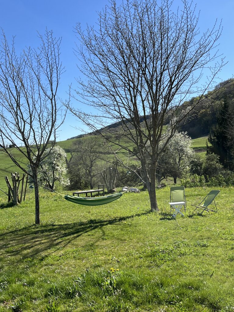 photo du jardin avec hamac